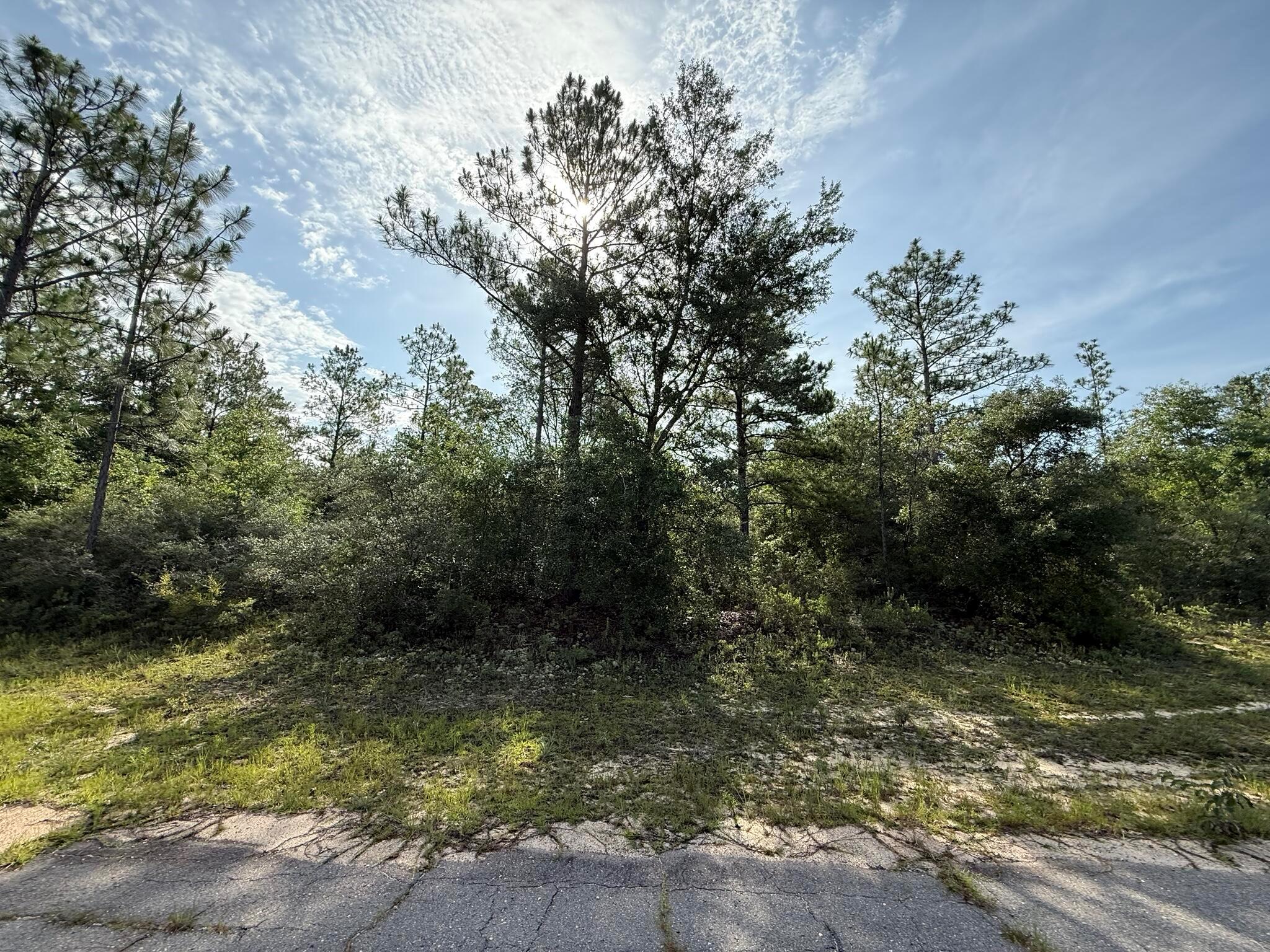 Tbd Sullivan Drive 3