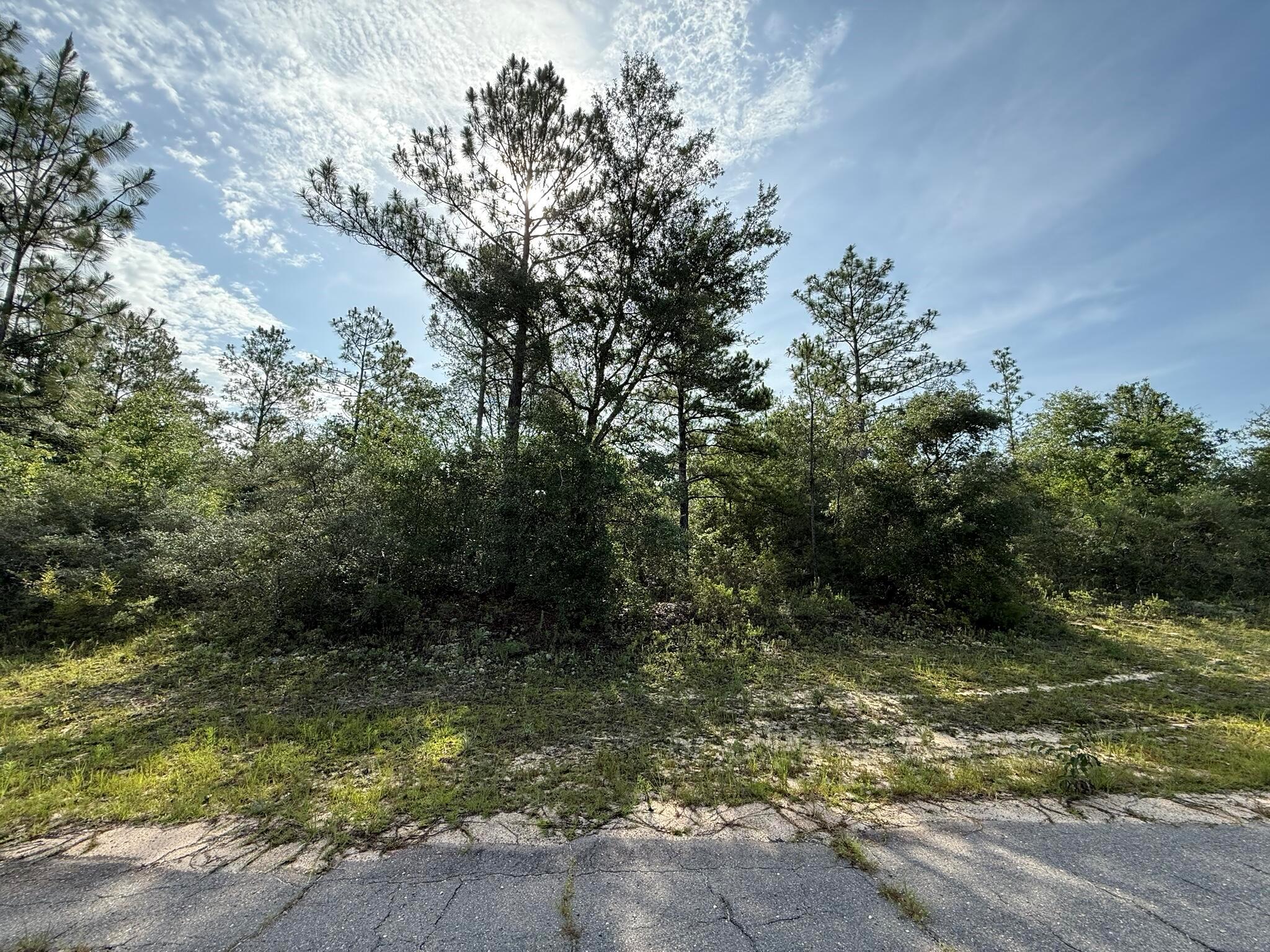 Tbd Sullivan Drive 3