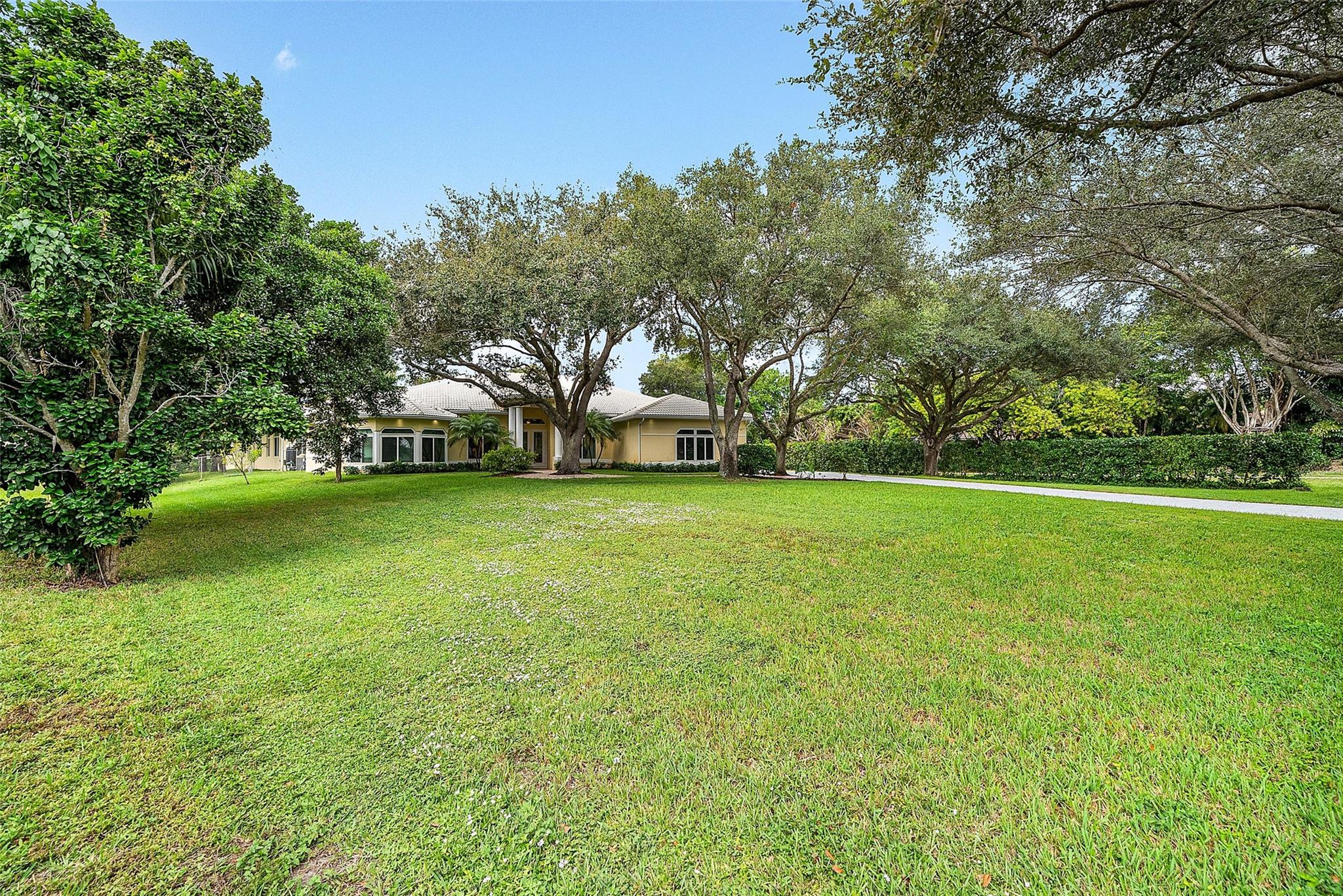 Pine Tree Estates - Residential