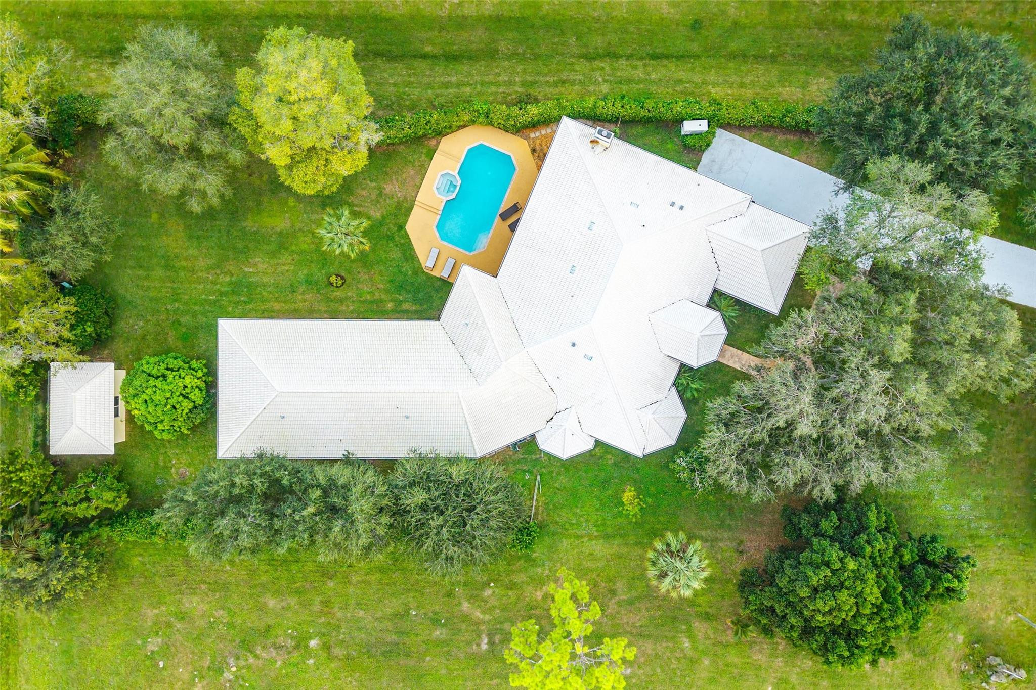 Pine Tree Estates - Residential