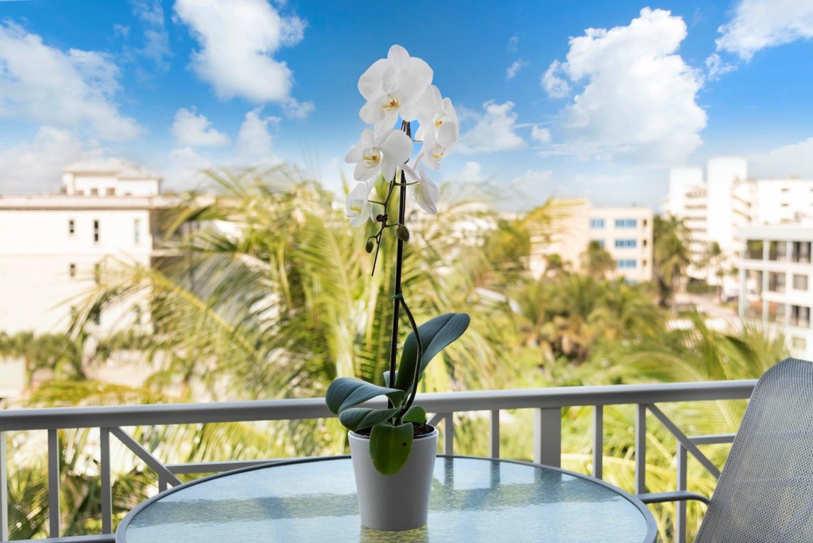 ORCHID BEACH - Residential