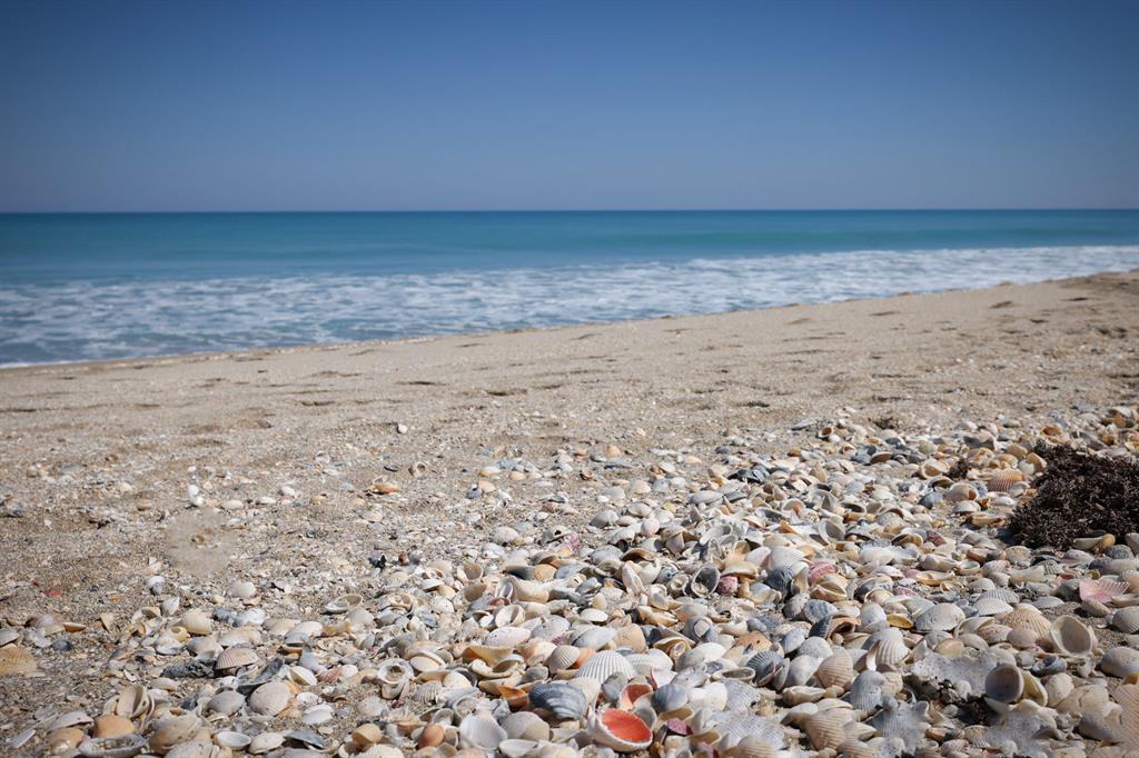 CLARIDGE BY THE SEA - Residential