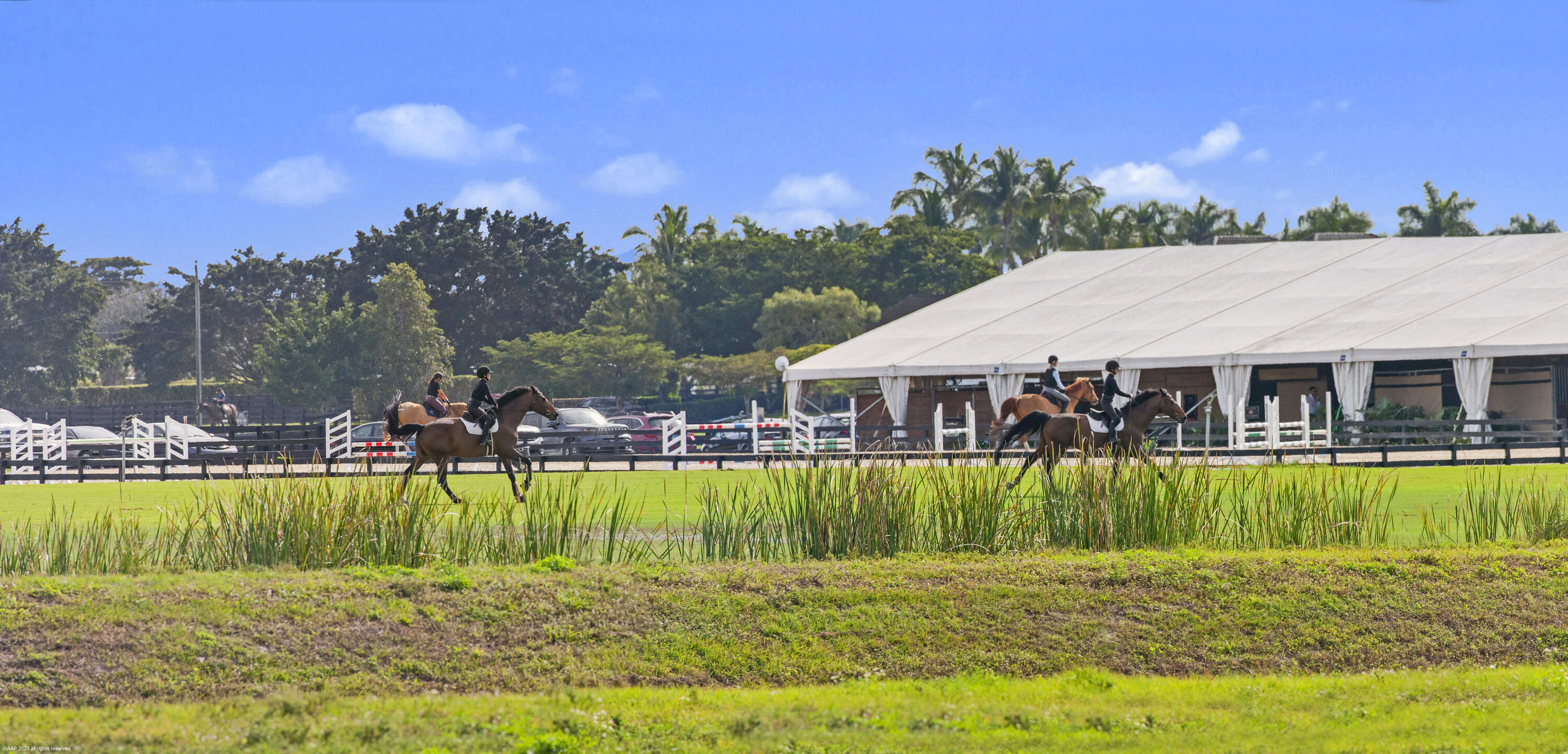 Rustic Ranches of Wellington - Residential