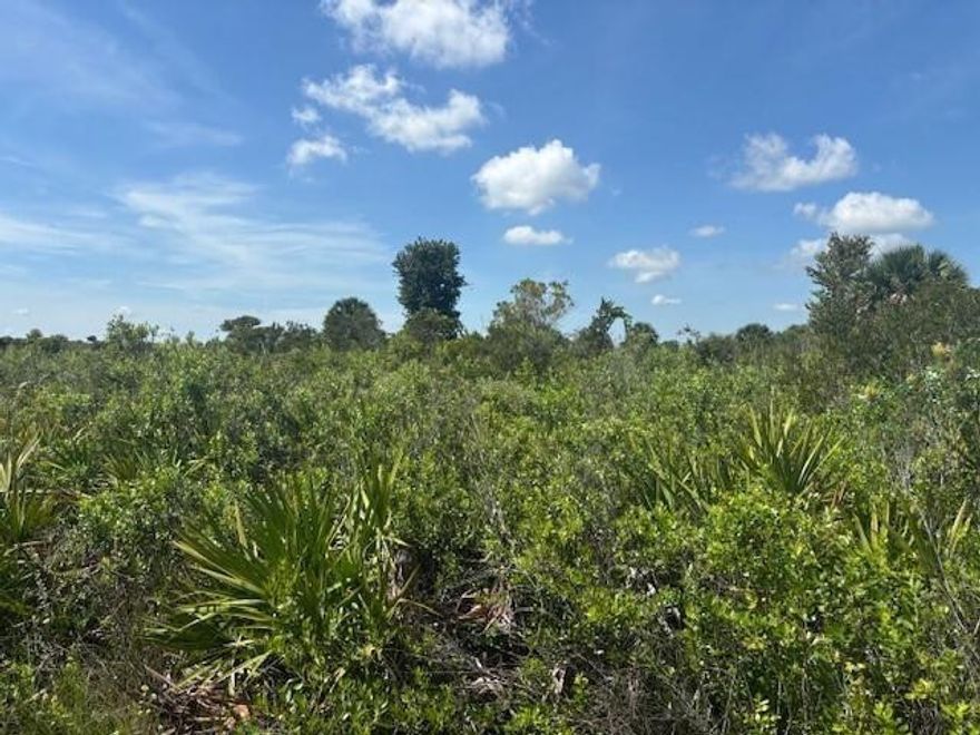 Double lot in Viking Estates. Close to the Kissimmee Prairie State Park. Bring your 4 -wheelers. This property is not only ideal for recreational uses such has camping, hunting and shooting, but it’s agricultural as well.Survey included