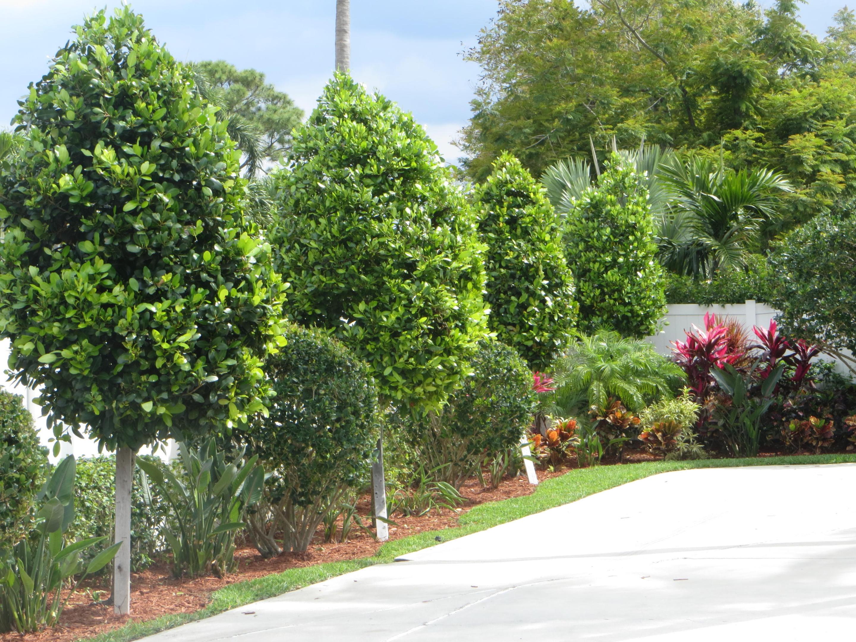 BOCA ALTA SEC 2 - Residential Lease