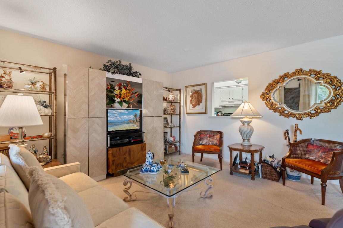 SABAL PALM VILLAGE 2 CONDO - Residential