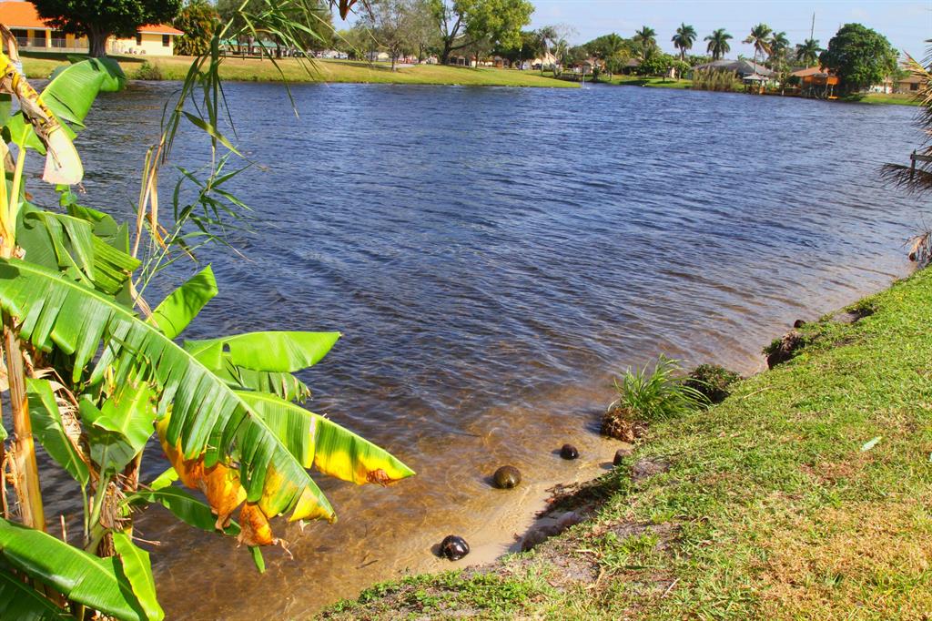 LA MANCHA 2 - Residential