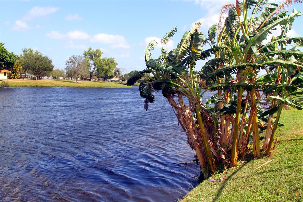 LA MANCHA 2 - Residential