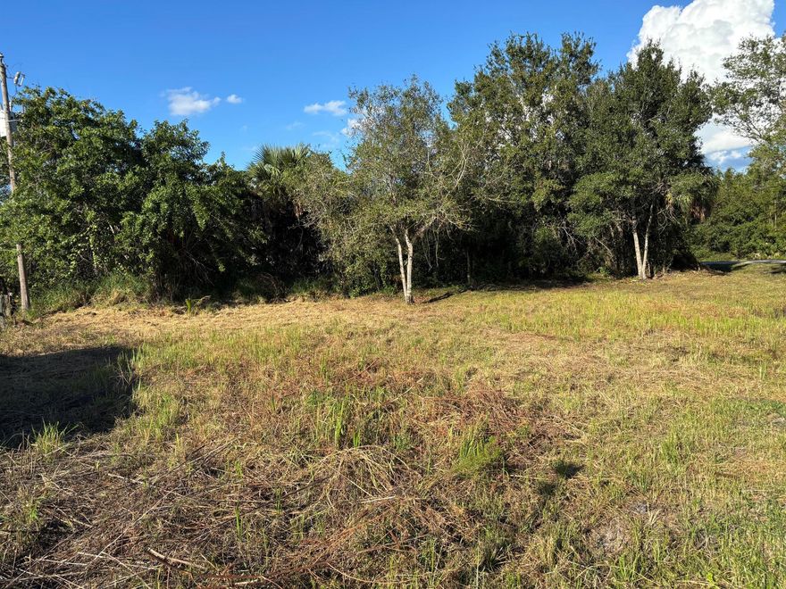 Ready for Your Vision! This partially cleaned .18-acre vacant lot sits on NW 32nd Ave, Okeechobee. Low annual taxes and a great opportunity for your next project.Check with county for zoning details. Great location!