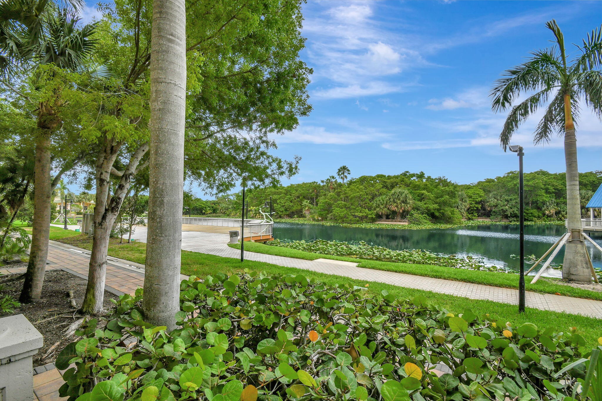 Casa Costa - Residential Lease