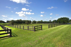 PALM BEACH POINT - Residential
