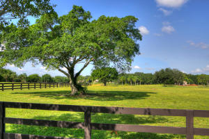 PALM BEACH POINT - Residential