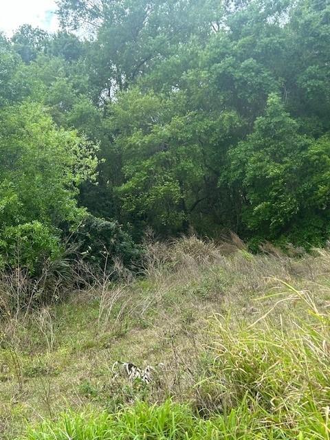 Motivated to sell, open to all offers and negotiations. Cleared lot over 7,000 square feet, ready to build within a neighborhood in the heart of Lake Wales. Close to businesses, gas stations, restaurants, desirable shopping facilities and all other amenities. Build your dream home in a convenient location and enjoy the future potential this investment will bring.