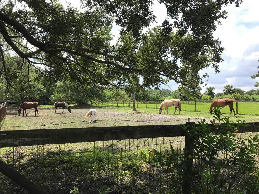 Photo of 15531 42nd Road N, Loxahatchee Groves, FL 33470 (MLS # B26036447)