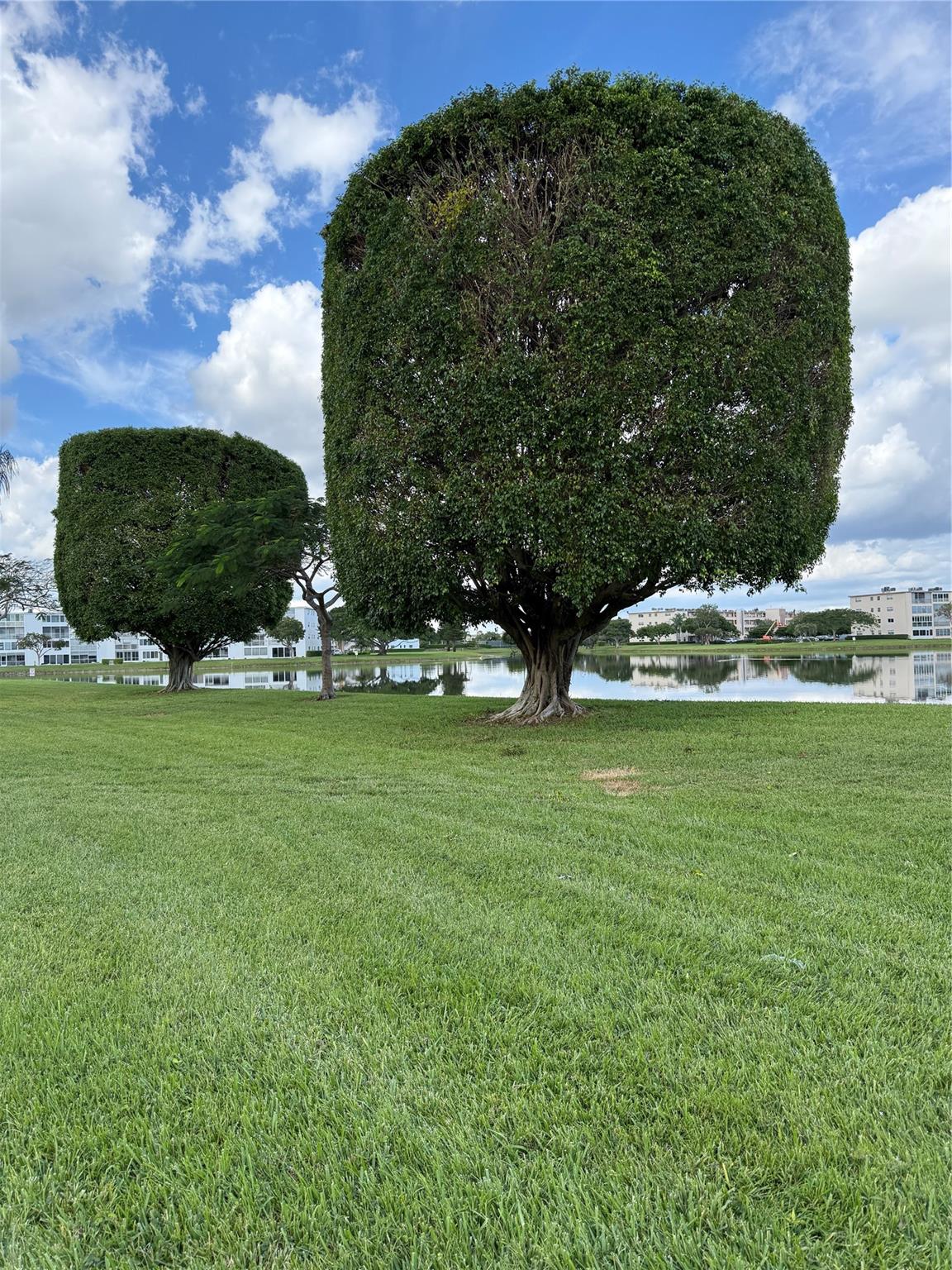 CENTUTY VILLAGE BOCA - Residential