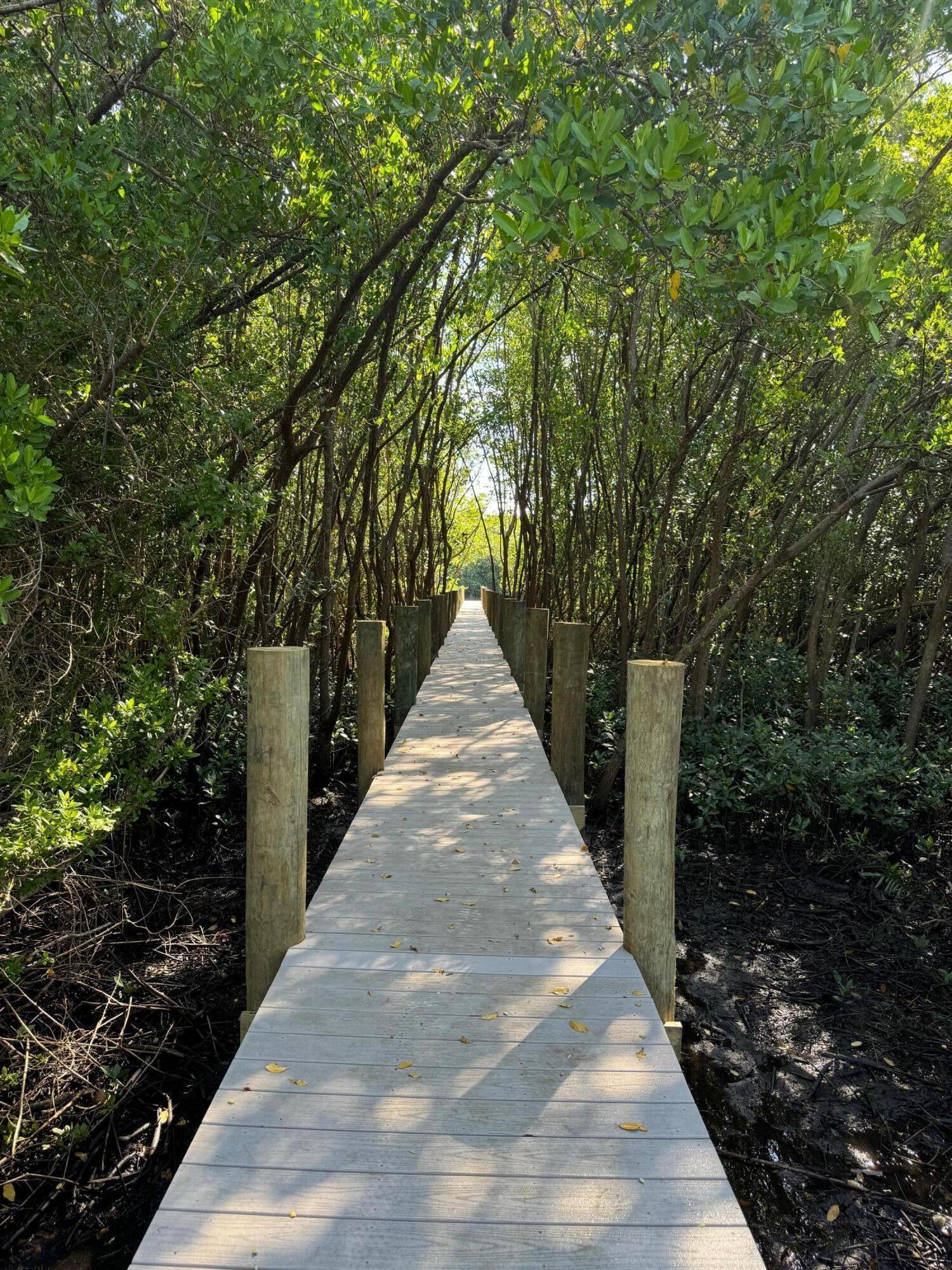 FIRST REPLAT OF RIVER POINT PUD - Land