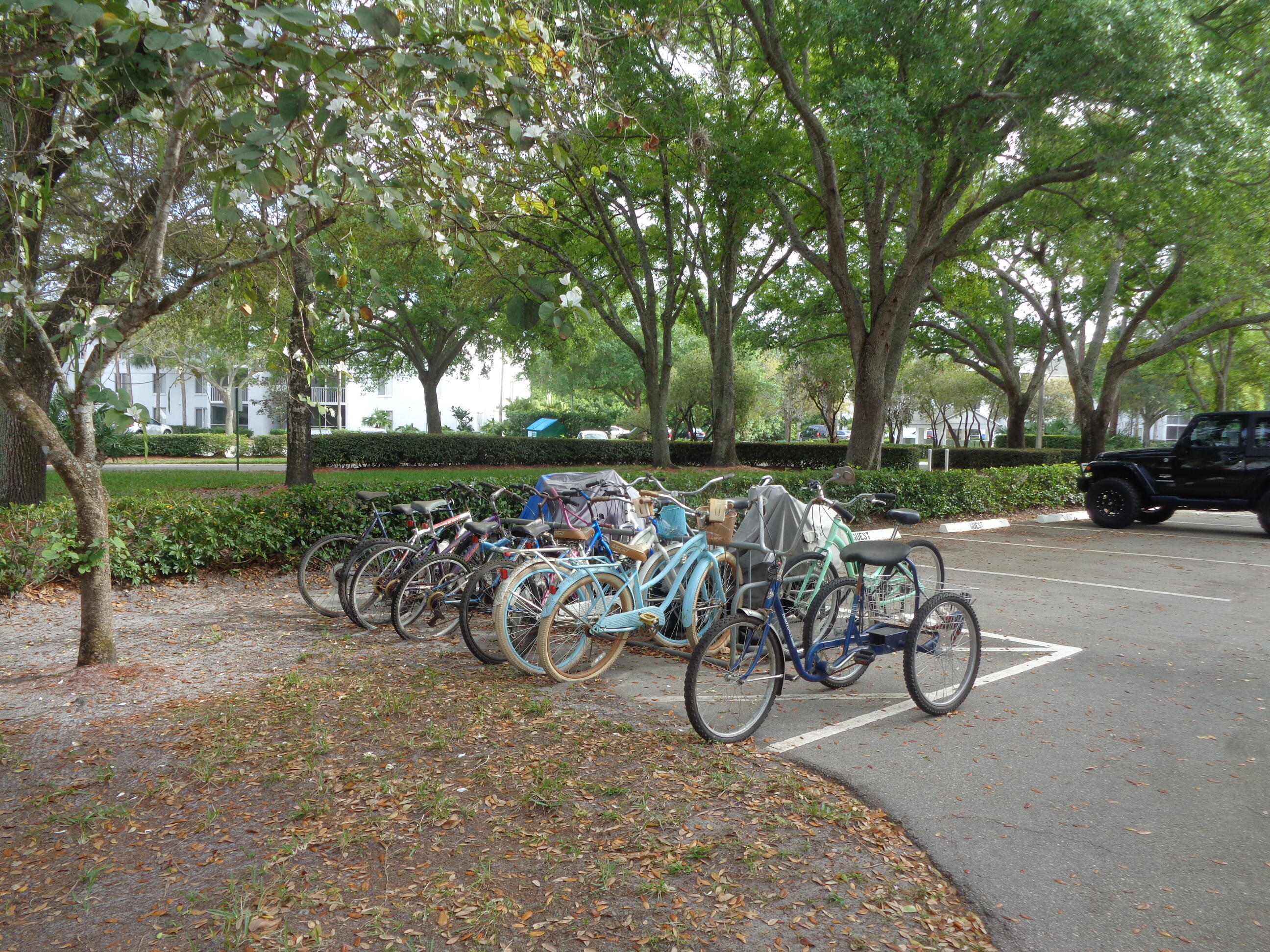 ANCHORAGE - Residential Lease