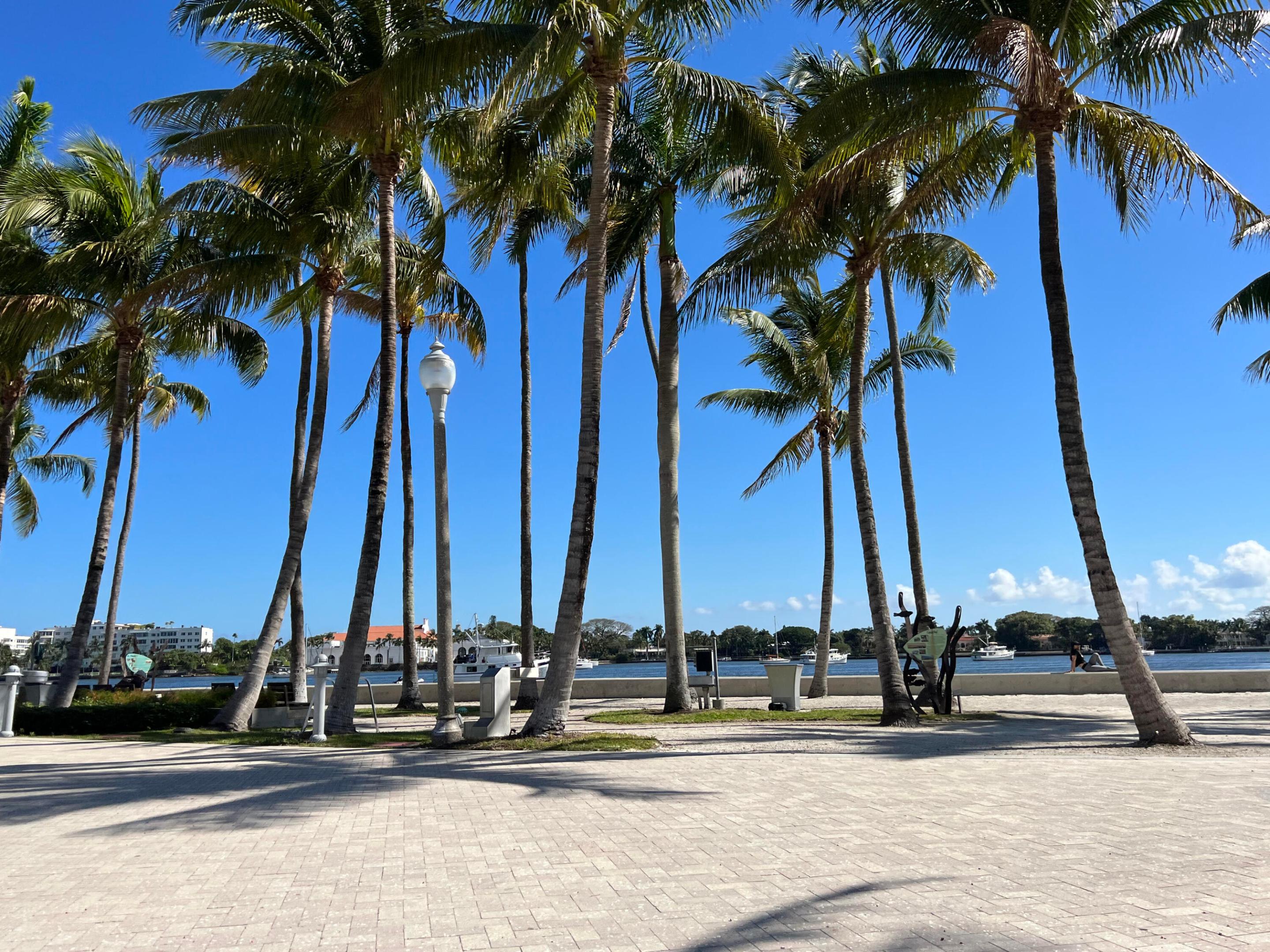 PALM BEACH HOUSE CONDO - Residential