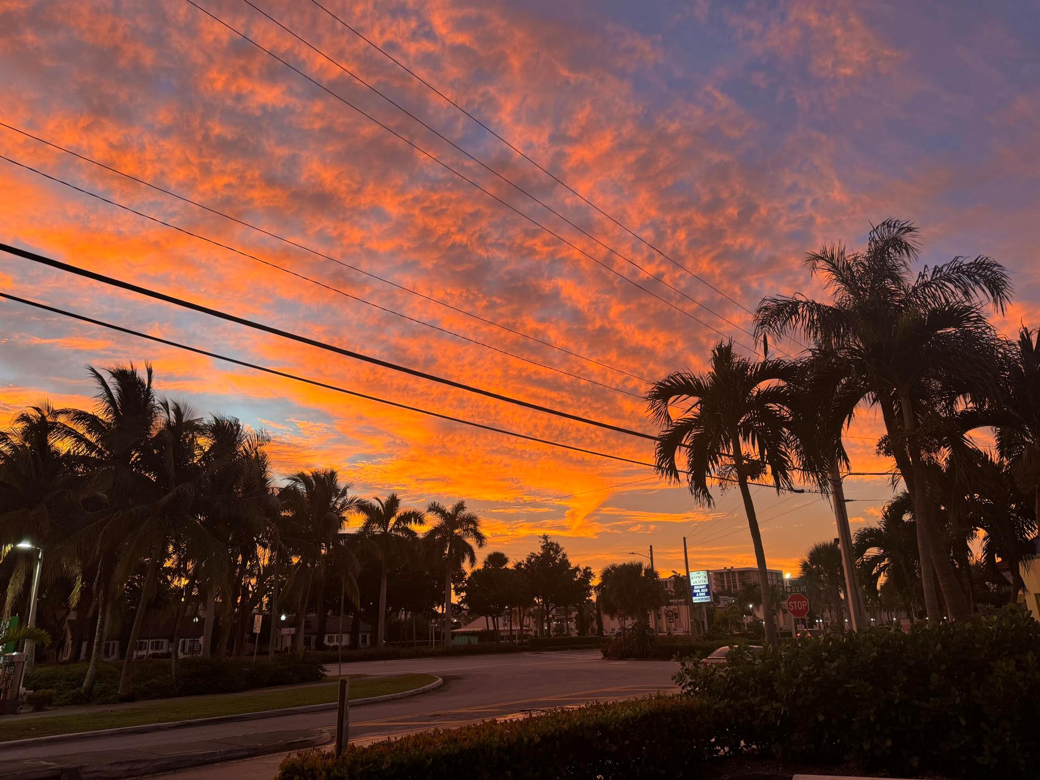 Roseview Gardens - Residential Lease