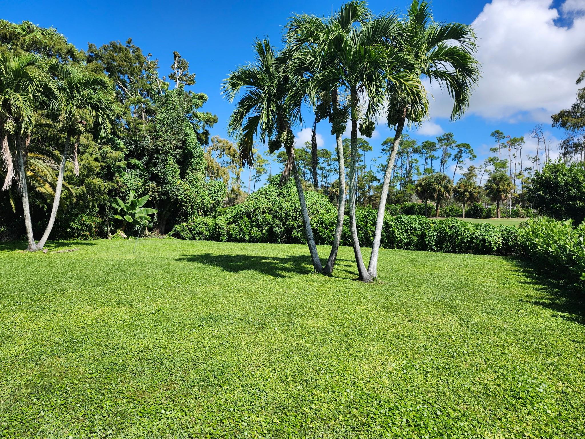 Binks Forest Landings At - Residential Lease