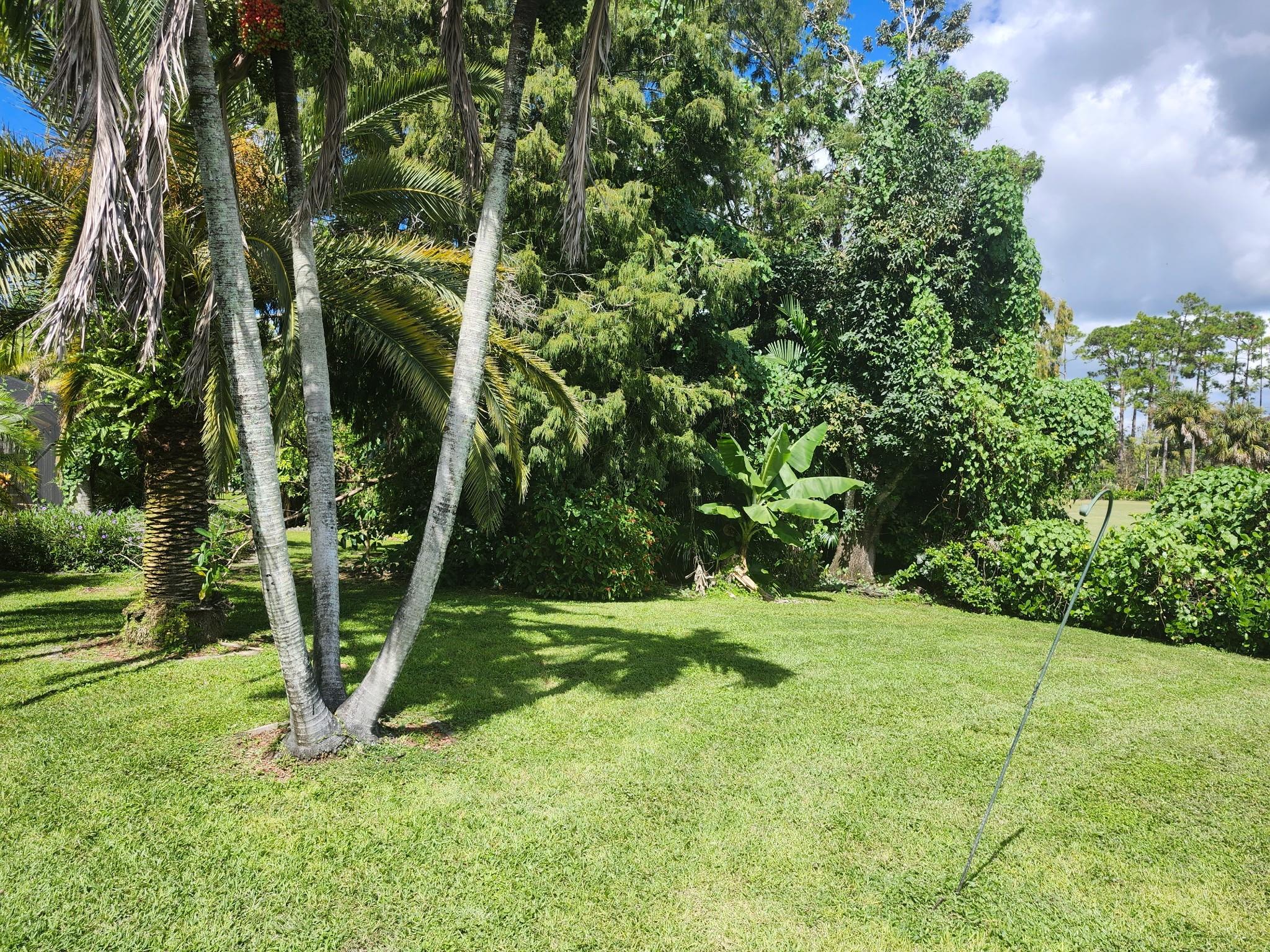 Binks Forest Landings At - Residential Lease