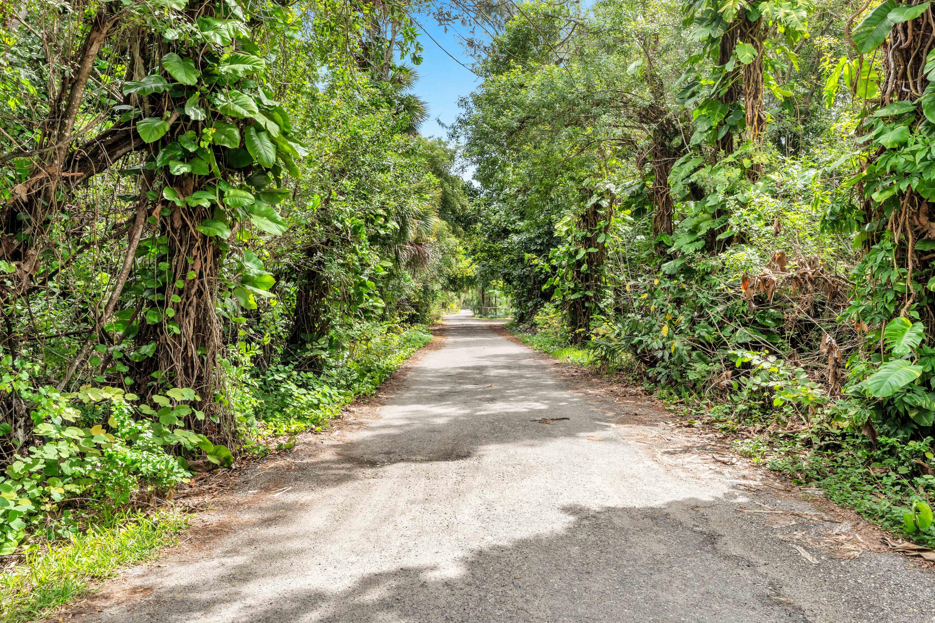 PALM BEACH FARMS CO 3 - Residential