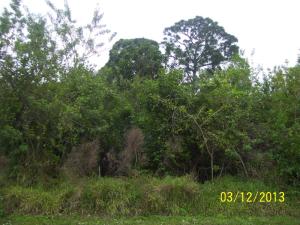 PORT ST LUCIE SECTION 03 - Land