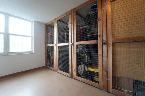 Tiny photo for 1149 Hillsboro #503, Hillsboro Beach, FL 33062 (MLS # B26035463)