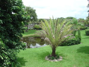 Tennis Lodges - Residential Lease