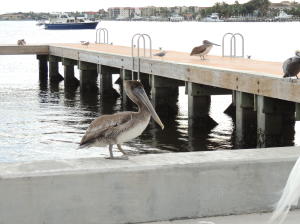 Mayfair House Condo - Residential