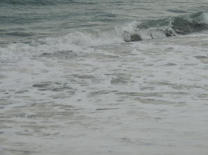 Mayfair House Condo - Residential