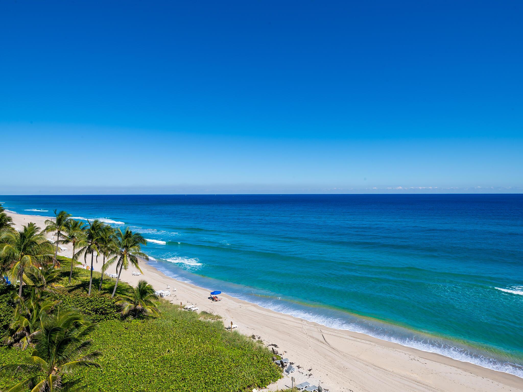 CLARENDON CONDO - Residential