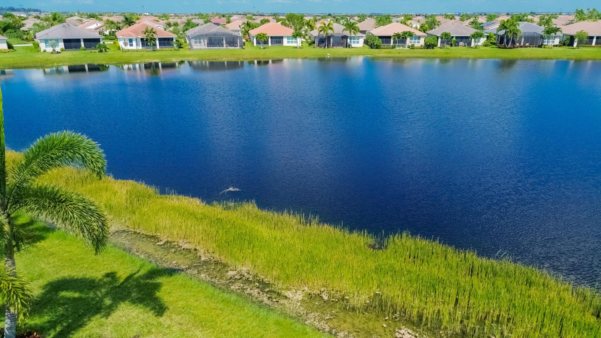 VITALIA - Residential