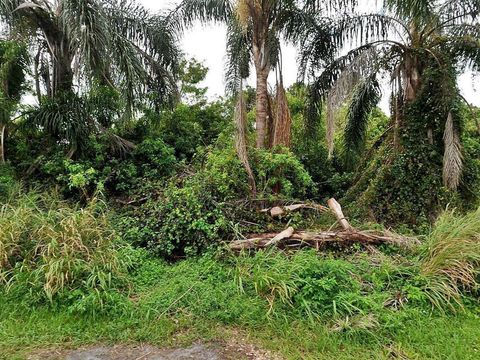 Featured picture for the property R10741404
