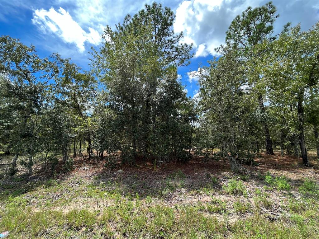 RAINBOW LAKES ESTATES - Land