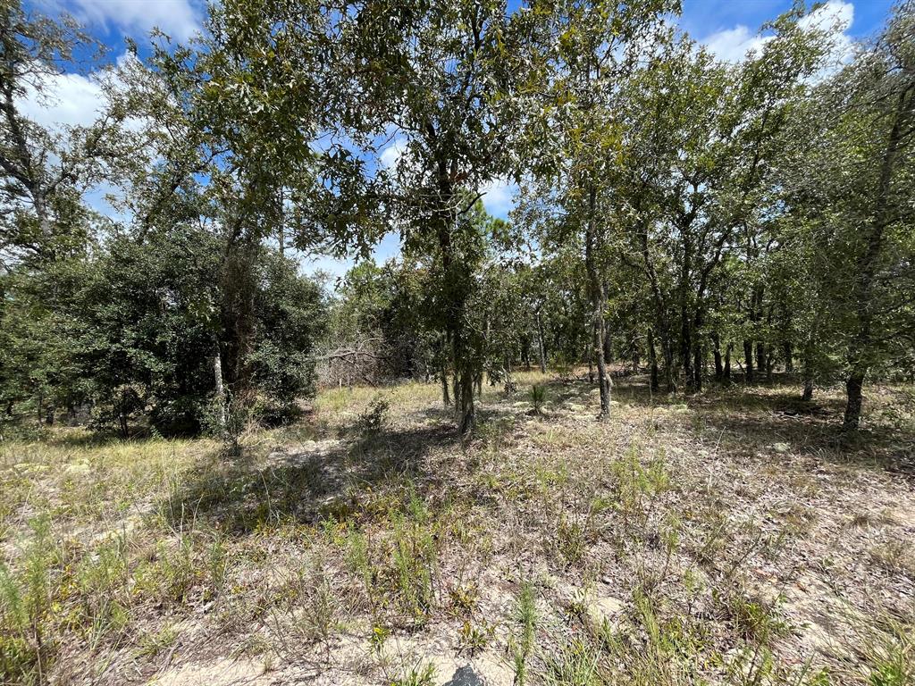 RAINBOW LAKES ESTATES - Land