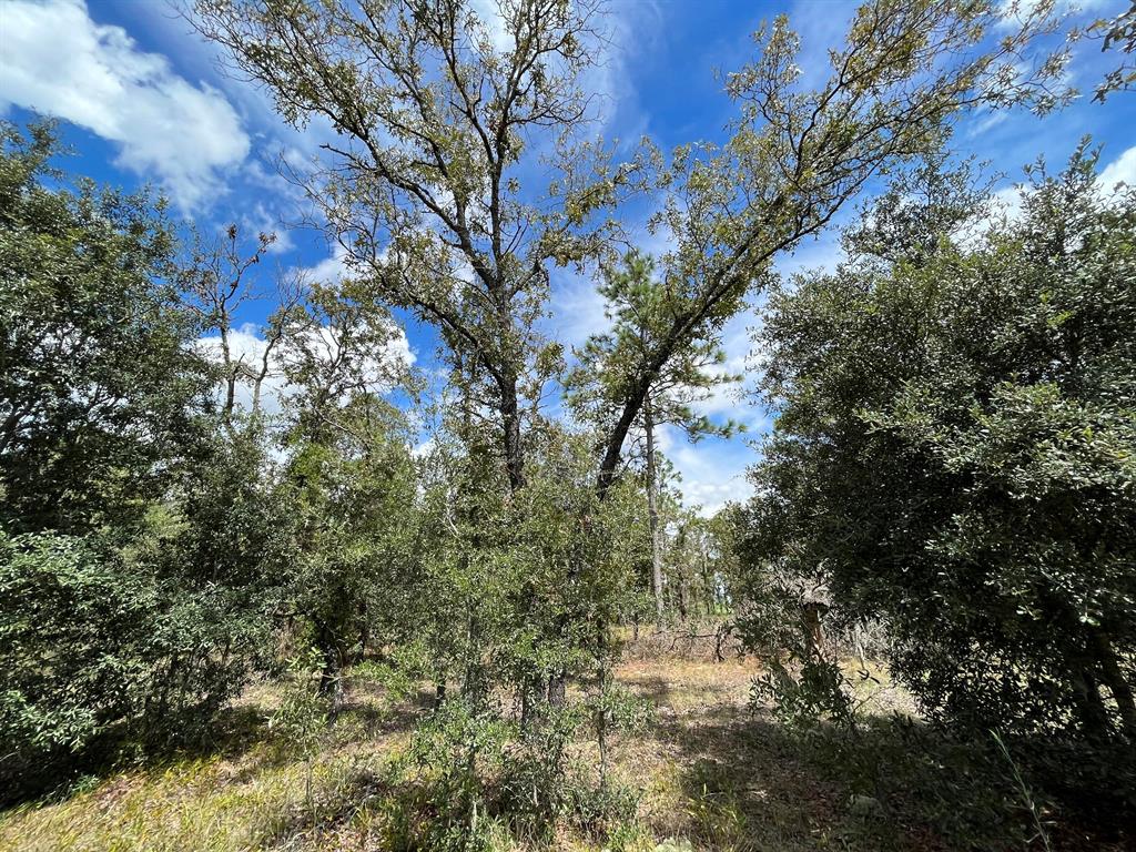 RAINBOW LAKES ESTATES - Land