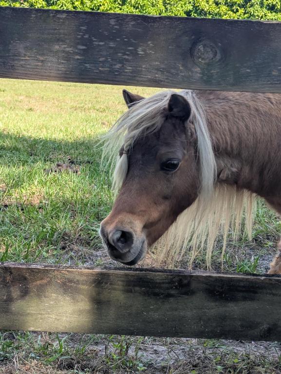 UNINCORPORATED - Residential