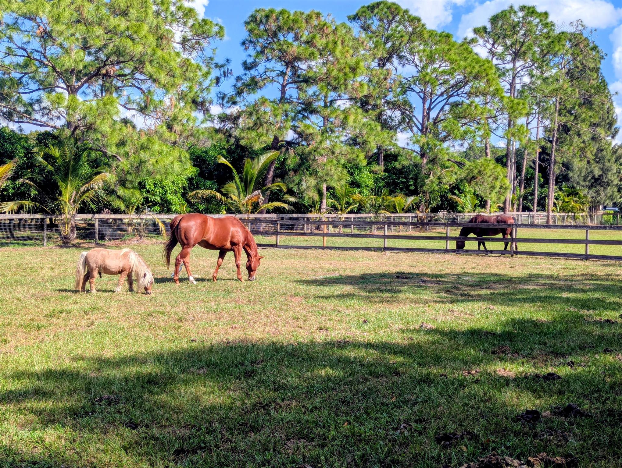 unincorporated - Residential