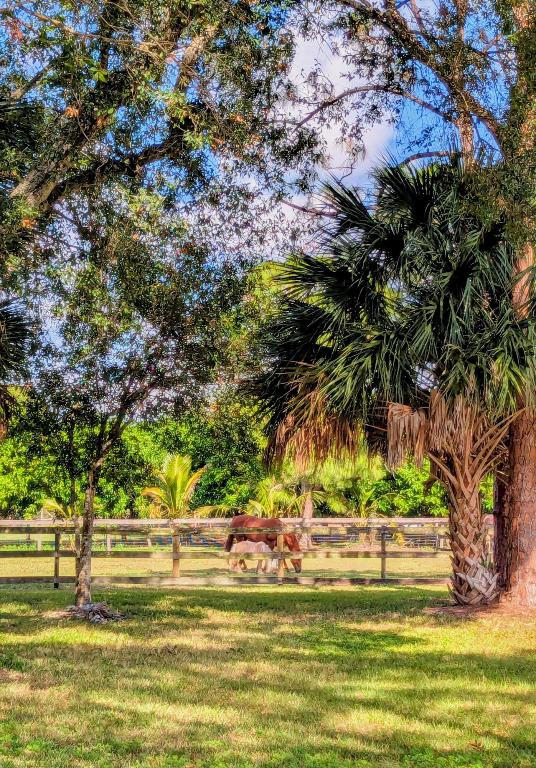 UNINCORPORATED - Residential