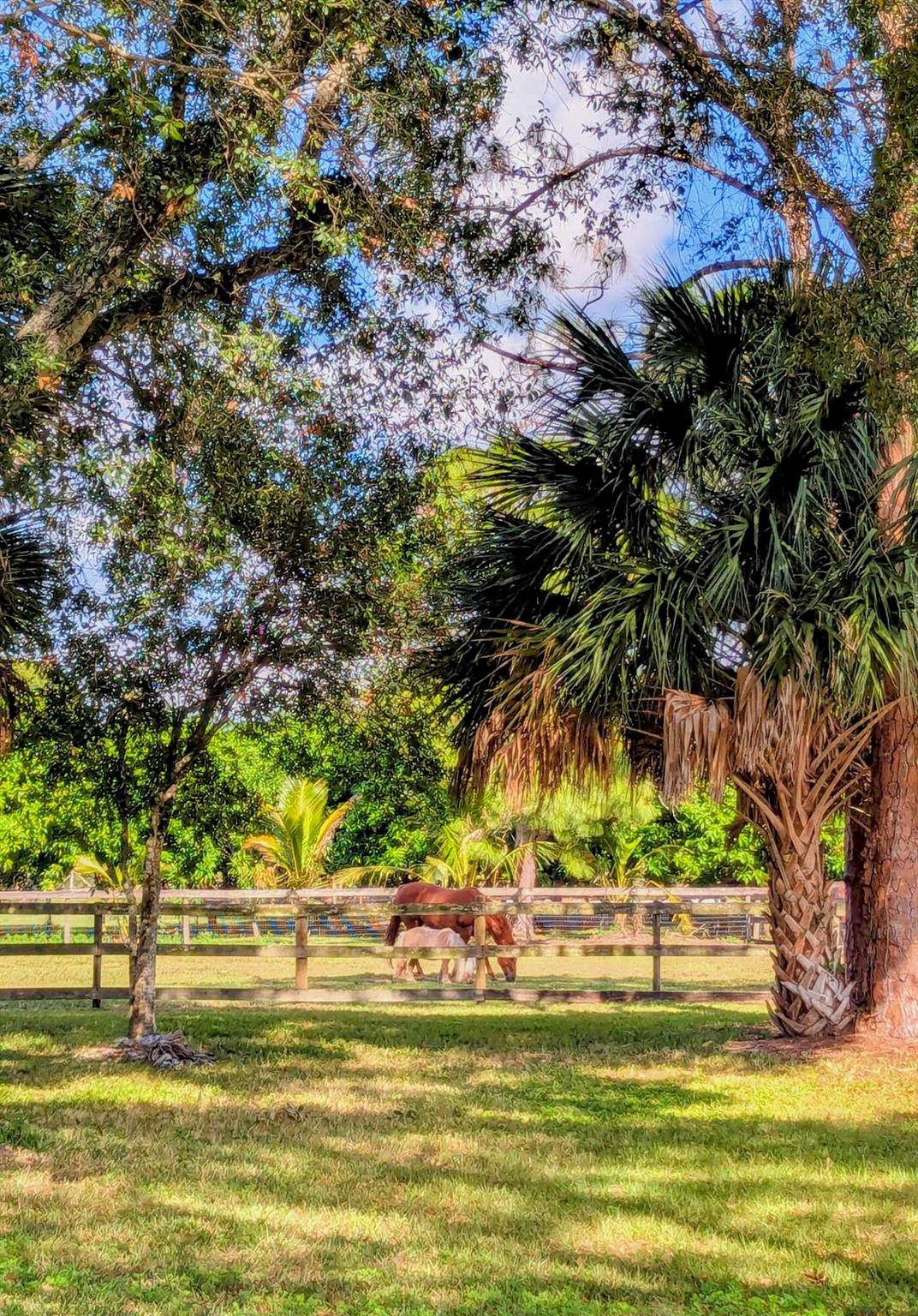 unincorporated - Residential