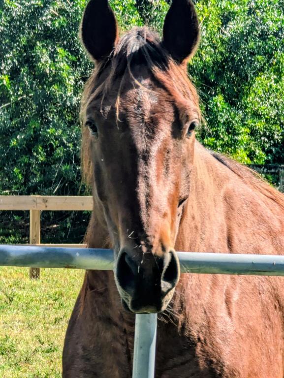 UNINCORPORATED - Residential