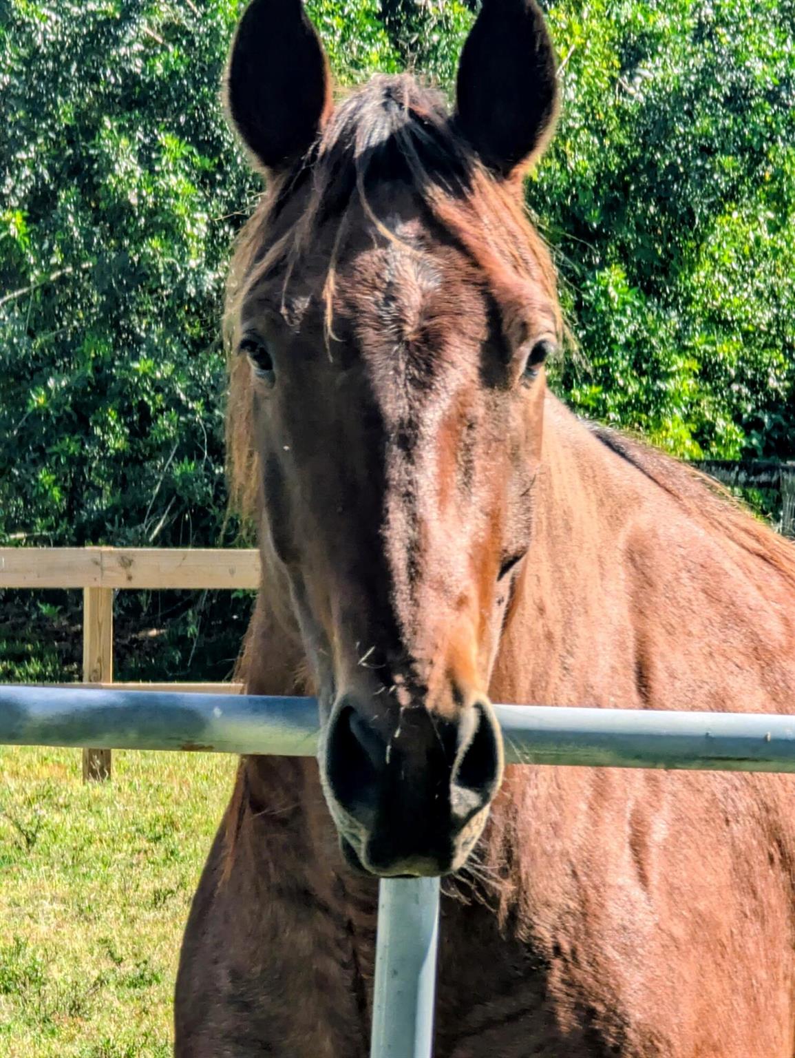 unincorporated - Residential