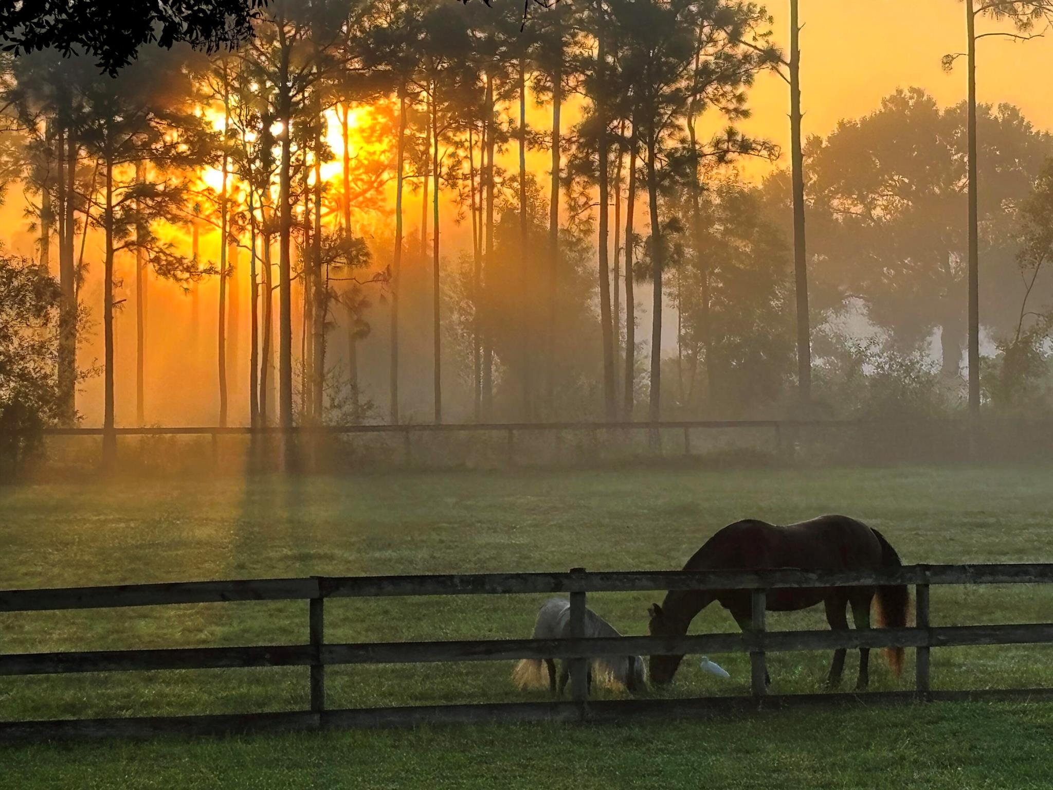 unincorporated - Residential