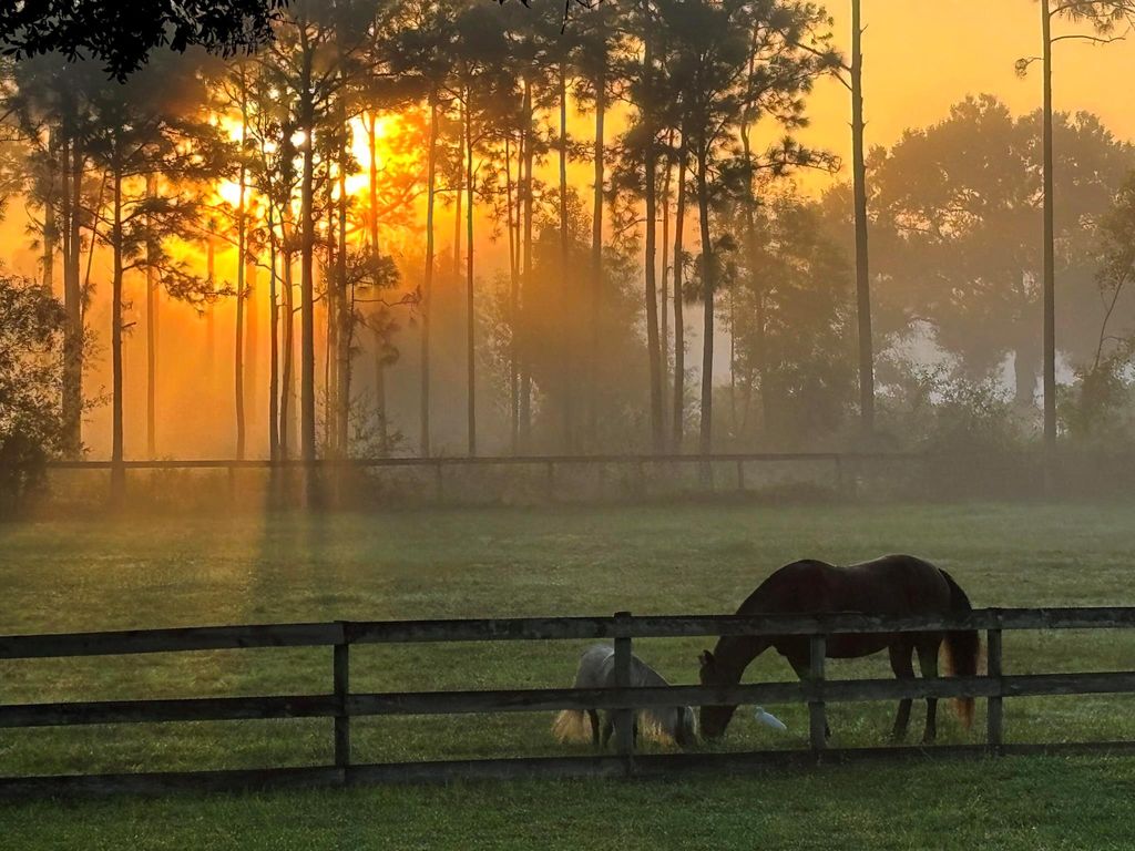 Photo of 6296 188th Trail N, Loxahatchee, FL 33470 (MLS # R11148459)