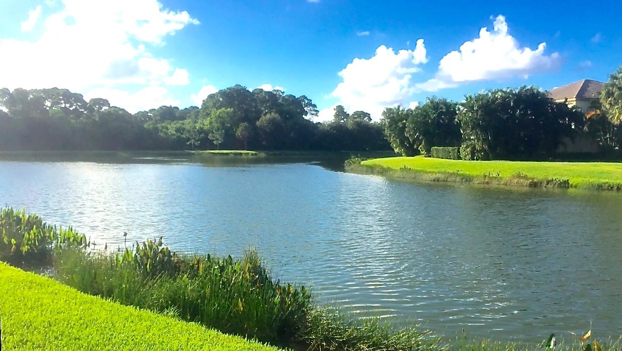 MIRABELLA AT MIRASOL C - Residential