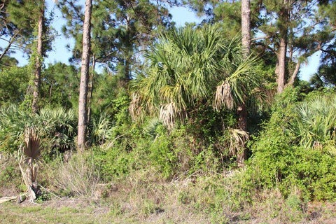 Featured picture for the property R10953991