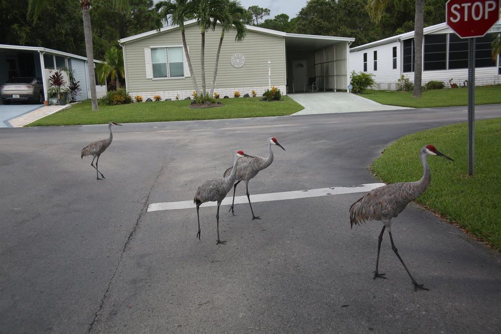 Photo of 320 Tropical Isles Circle #6, Fort Pierce, FL 34982 (MLS # R10921085)