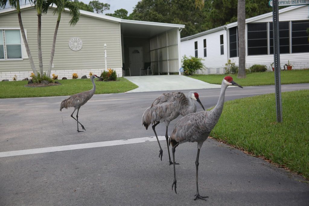 Photo of 320 Tropical Isles Circle #6, Fort Pierce, FL 34982 (MLS # R10921085)