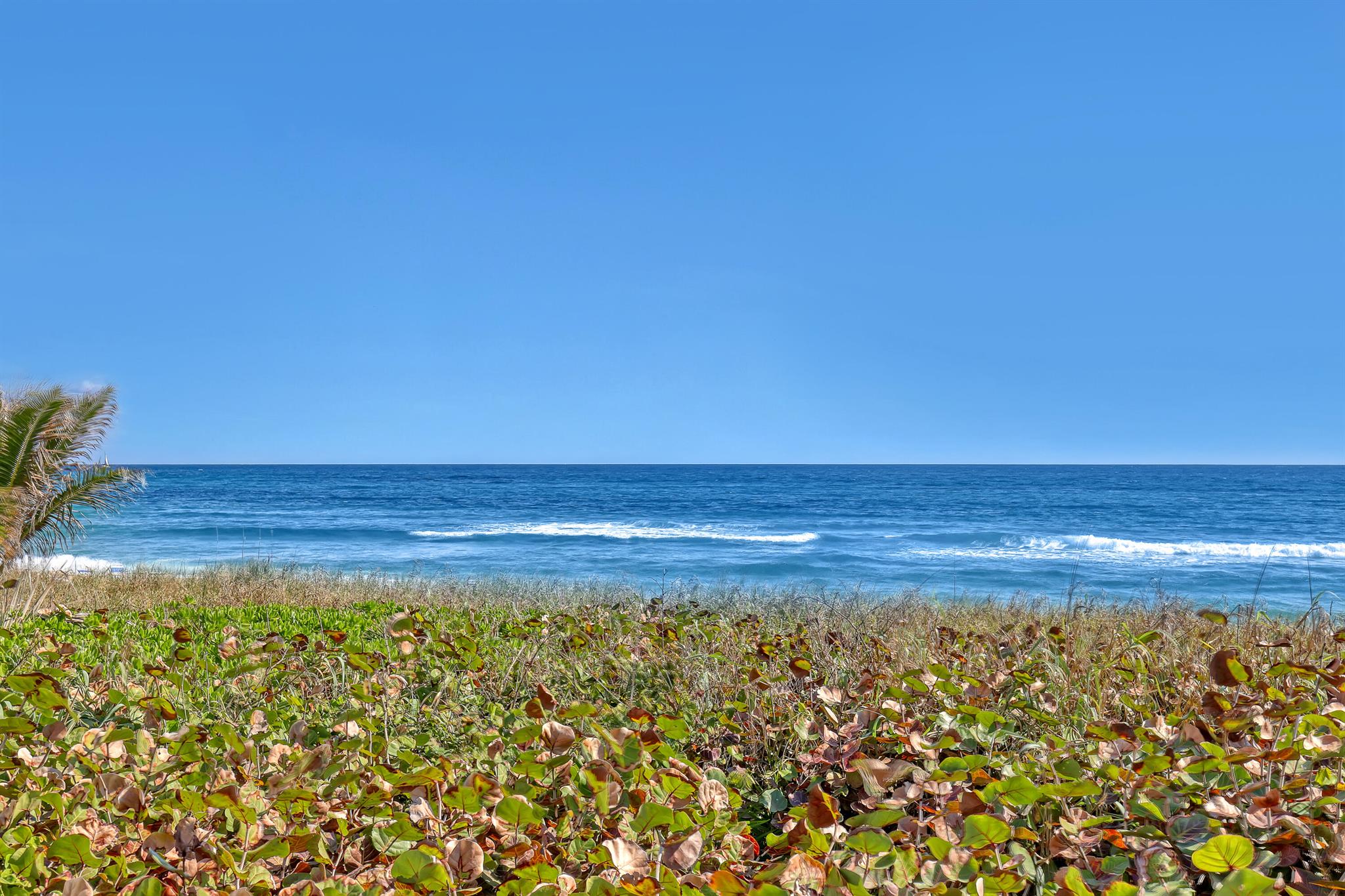 AMBASSADORS V SOUTH CONDO - Residential Lease